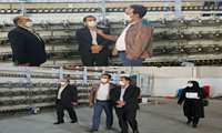 بازدید مدیر عامل و معاون صنایع کوچک شرکت شهرک های صنعتی استان از واحد تولیدی پویا نخ ایلام مستقر در شهرک صنعتی ایلام